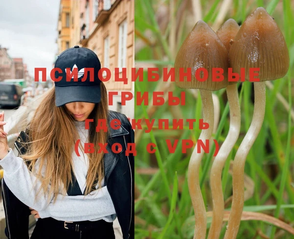 бошки Арсеньев