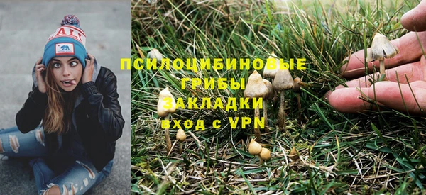 бошки Арсеньев
